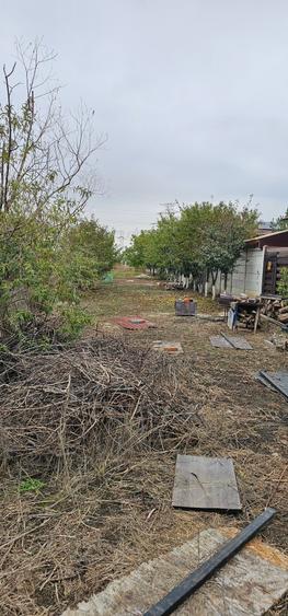 Domnești- Str.Fortului, 742mp, gaze, lumină - 5