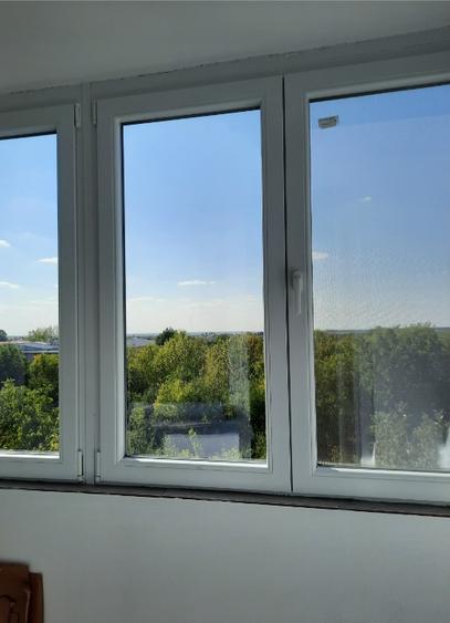 Apartament de vânzare în oraș Buziaș  - 6