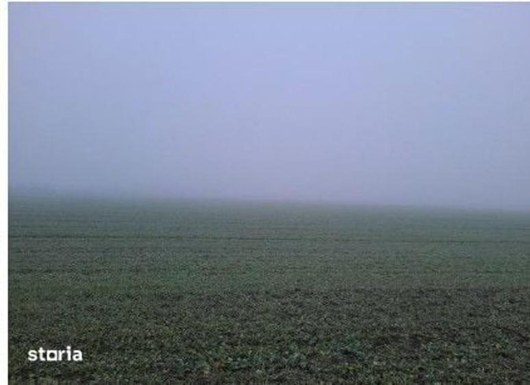 Teren extravilan arabil Troianul, ID: R2884553 - 7