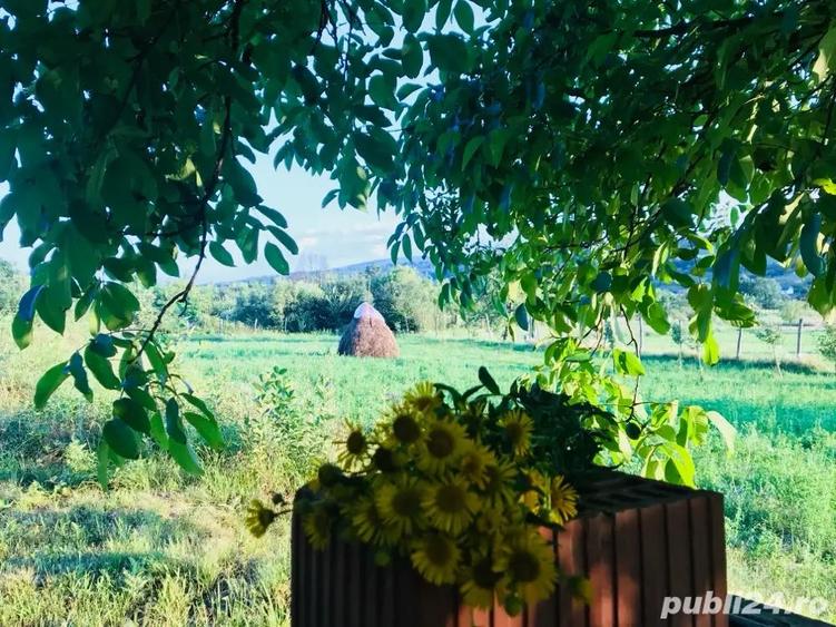 casa de vacanta 60km de Timisoara - 4