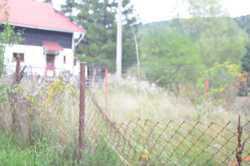 Teren intravilan situat in Busteni-Valea Alba - 7