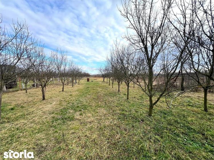 Casa cu 3 camere in Berindan | Teren 1.850 mp, aproape de oras - 7
