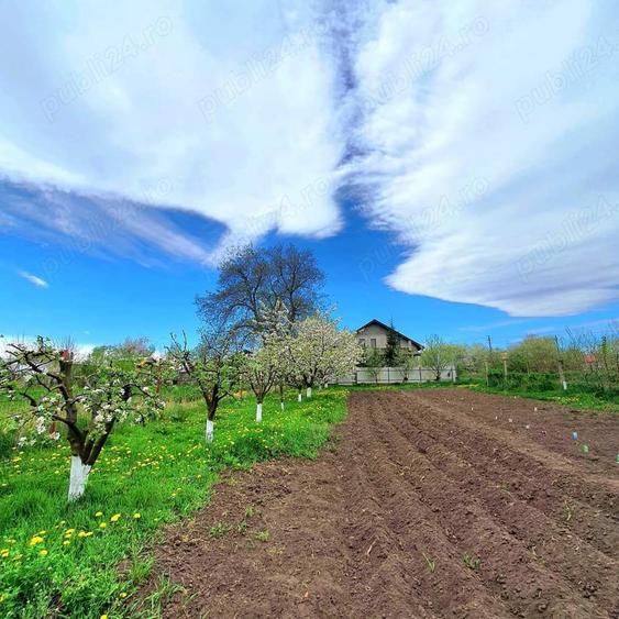 Vand casa la alb. - 8