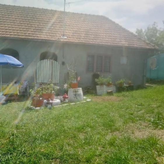 De vanzare o casu?a la munte in jud. Hunedoara - 6