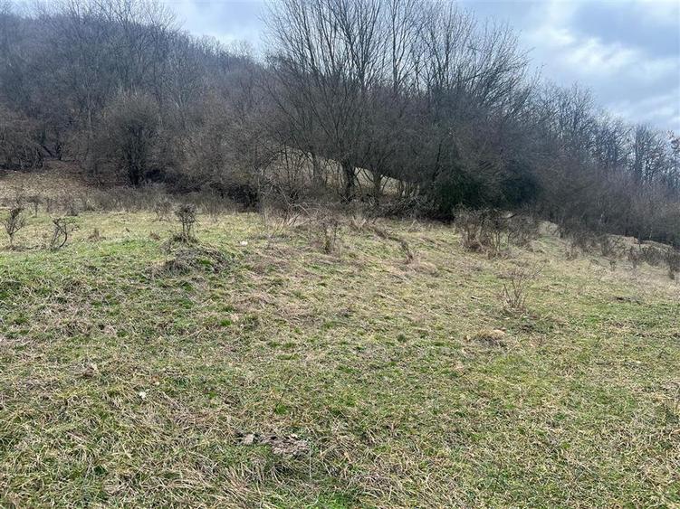 Teren intravilan si extravilan Luncoiu de Jos - 5