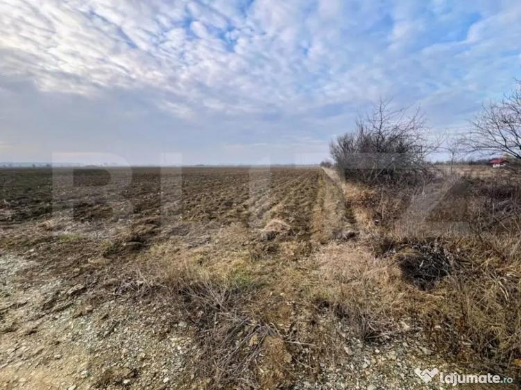 Oportunitate-Teren intravilan de vanzare, 5000 mp, zona Comu - 1