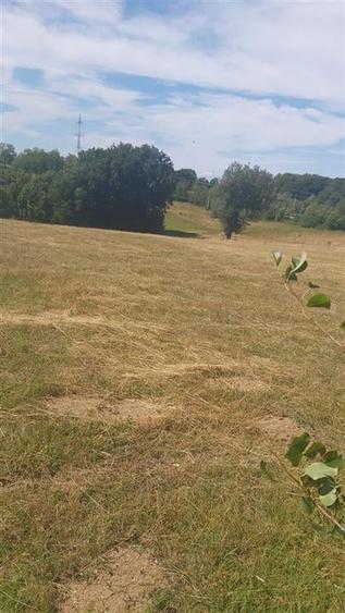 RECO, Teren intravilan, zona Sinteu, 2 Km de Huta Slavia - 2