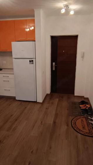 Apartament 2 camere mobilat utilat Doamna Stanca - 7