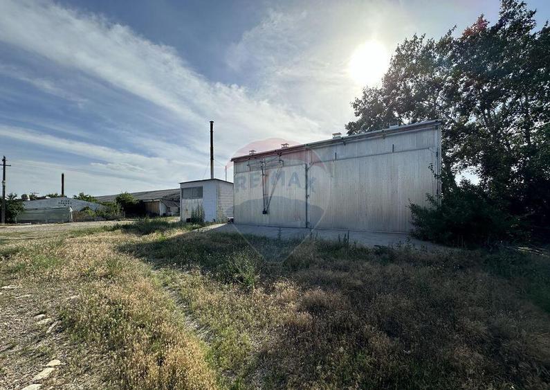 Spa?iu industrial Hale si Fabrica de lemn - 8