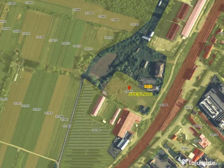 Vand teren intravilan orasul Ineu jud. Arad, 7836 mp, fs 30ml. Toate utilitatile. - 3