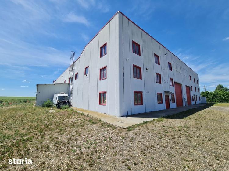 Spațiu comercial, de 40,000 mp, în Șagu