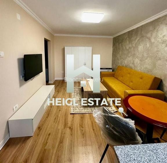 Apartament 1 camera Soarelui