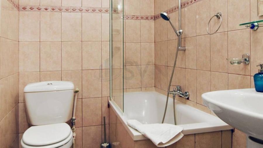 REA1027667 Garsoniera II AIRBNB II Cismigiu II Bloc Florentin - 10