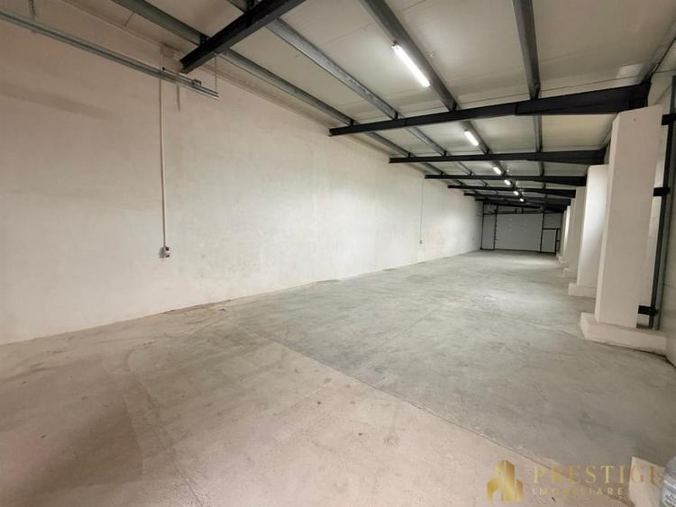 Hala 500 mp de inchiriat in Livada la 5 min de Aeroportul Oradea - 9