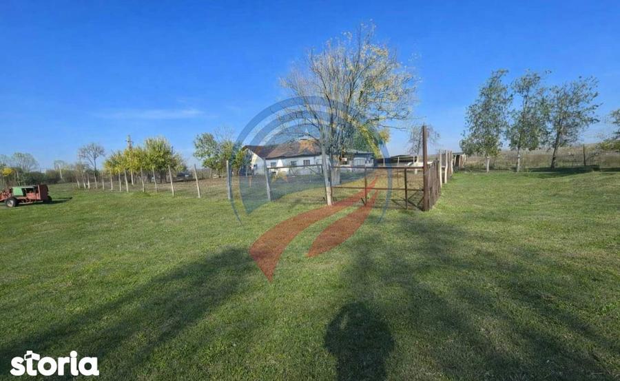 Casa de vanzare Macesul de Jos - 4