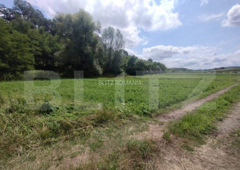 Teren extravilan,850 mp,ideal de cabana,zona Blajeni de Jos
