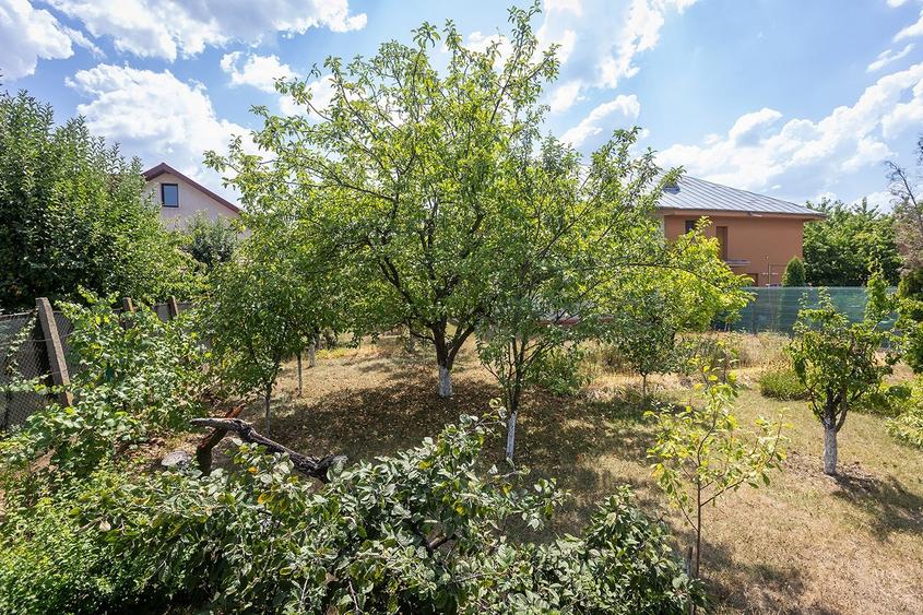 Locație rară: casă între pădure și apă, perfectă pentru un proiect de suflet - 35