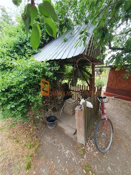 EXCLUSIVITATE! Casa + teren zona Beilic, com. Sageata - 10