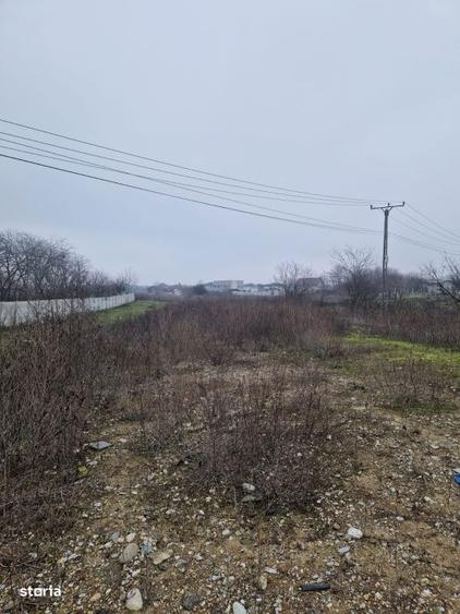 Teren de vanzare Malu Mare 1.250 mp intravilan - 2