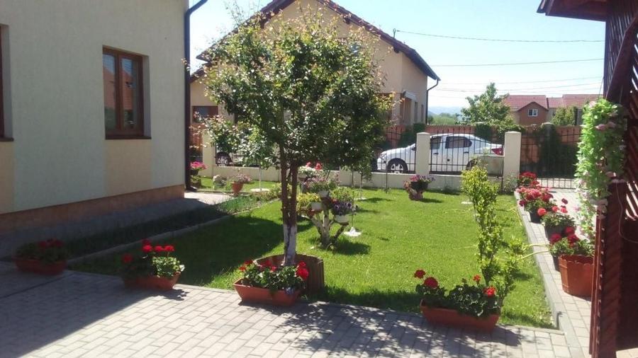 Casa de Vanzare Drumul Petrestiului - 3