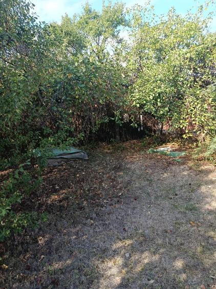 Casă de vânzare în Bilciurești, teren 1171mp, zonă liniștită, ideală pentru fami - 9