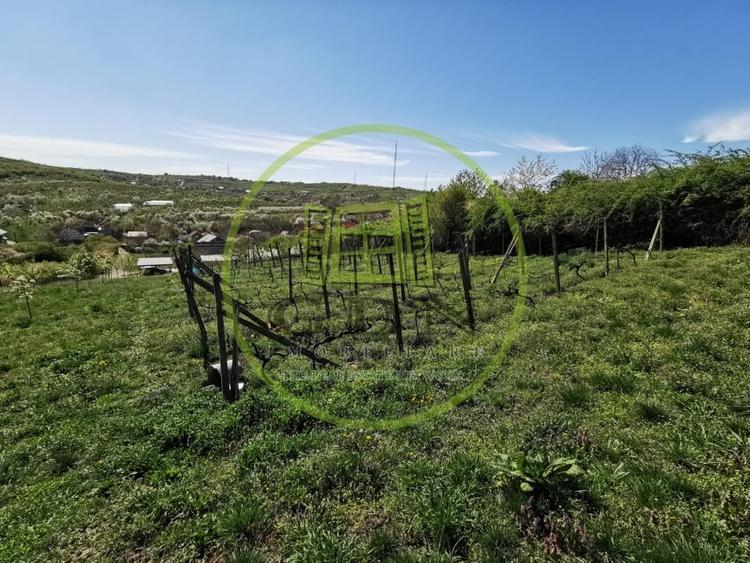 Teren intravilan si extravilan cu anexa gospodareasca amenajata, cu utilitati - 6