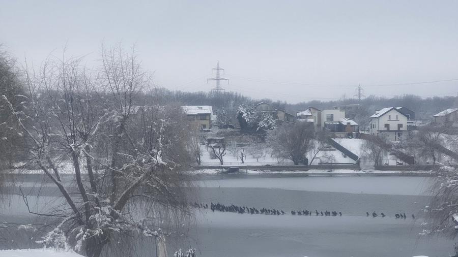 Vila amplasata pe malul lacului - 17