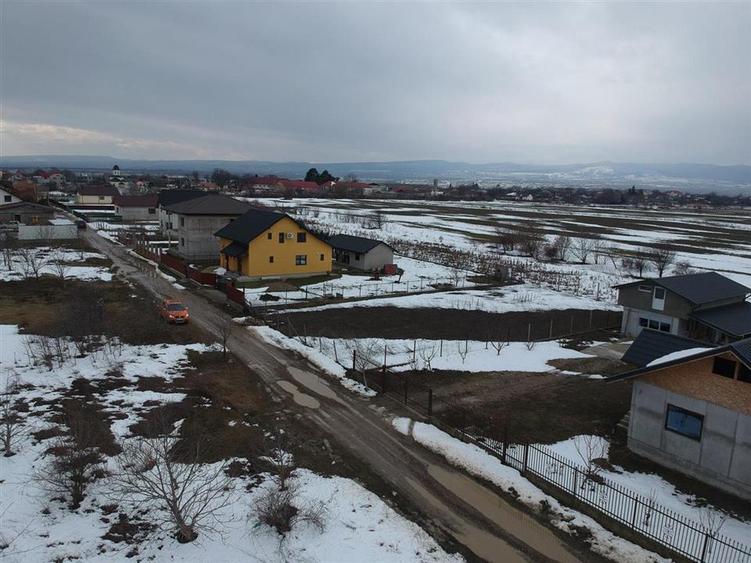 TEREN 650 CAMPINEANCA - 2