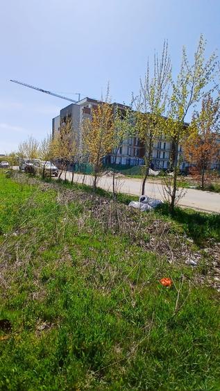 Teren Construcții intravilan de 6100 mp, în Theodor Pallady