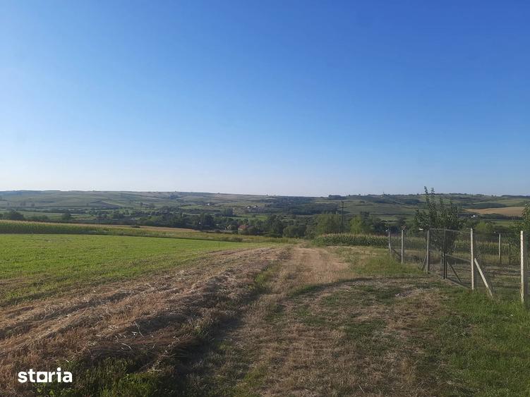 Teren de 894 mp, în Central