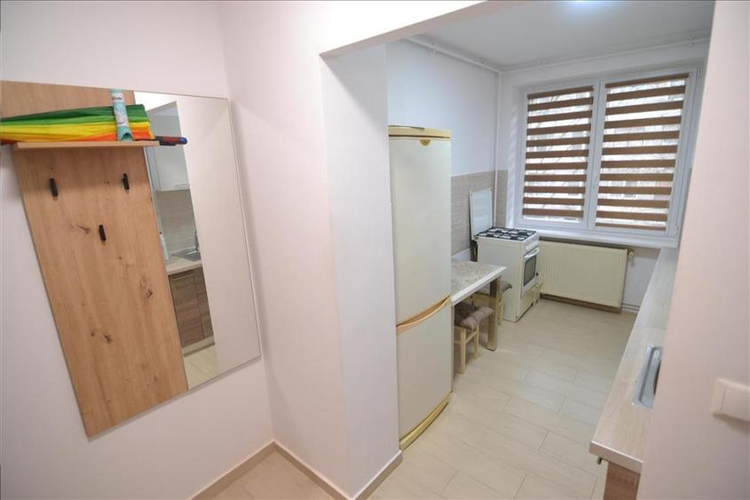 Inchiriere apartament 2 camere  etaj intermediar Tractorul- Goga - 20