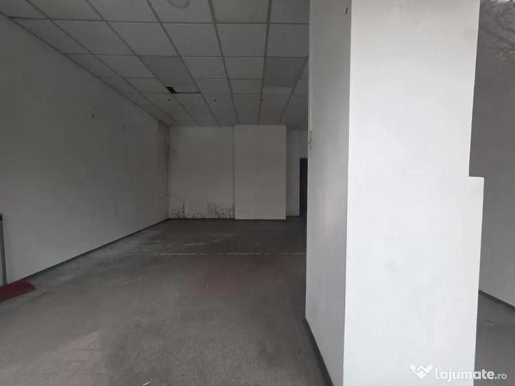 Zona Vitan sp 57 mp trafic intens - 5