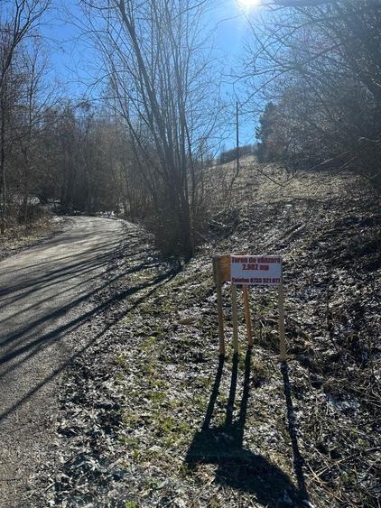 Teren de vanzare - 4