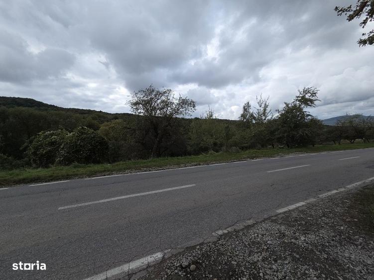 Teren extravilan de vanzare Valea Jelnei-Bistrita (langa intravilan) - 2