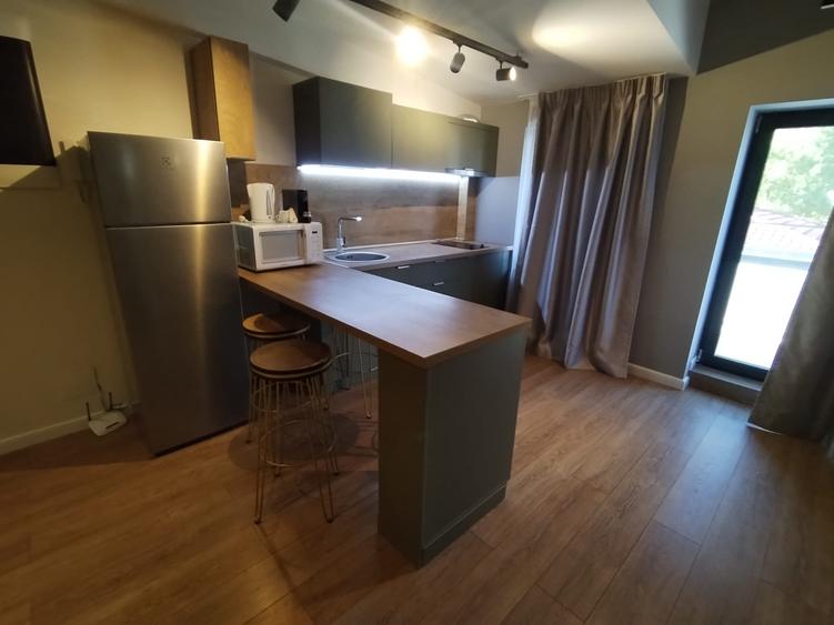 Apartament 2 camere in bloc nou Copou Parcul Expozitiei 160354 - 6
