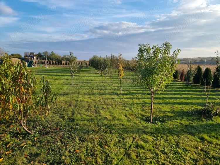 Casa la gata de vanzare in municipiul Dorohoi str. Dealu Mare - 2