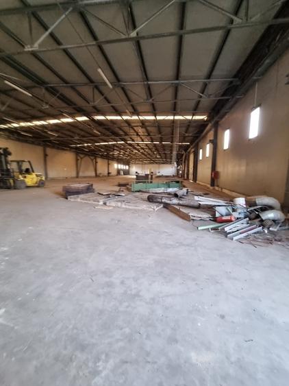 Hala 600 MP- Teren 15000-Otopeni-Centura Bucuresti - 7