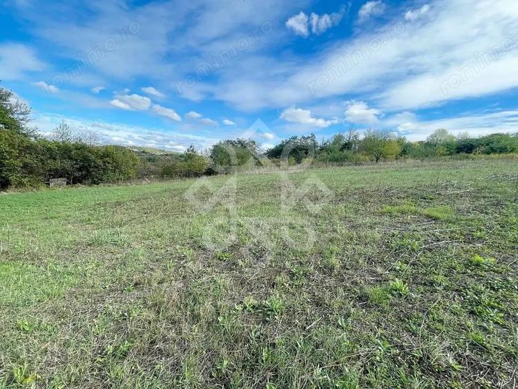 Teren intravilan 5995 mp de vanzare in Hidiselu de Sus - 2