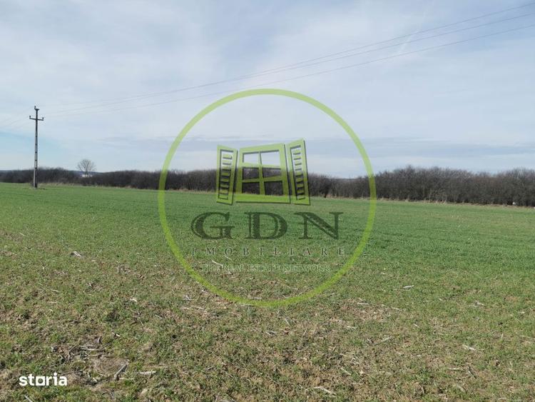 Teren extravilan de vanzare in Sacadat, 21.496 mp, cu deschidere de 42 - 7