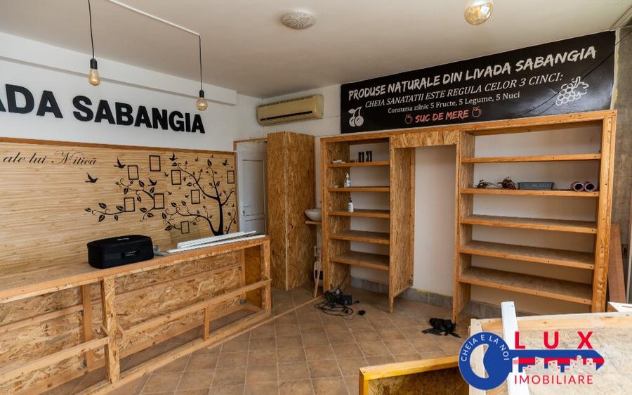 ID 6137 Spa?iu DE VANZARE STRADA Mahmudiei - 1