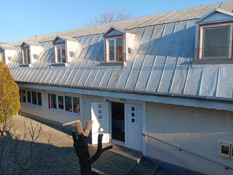 Tomesti deal la DE Iasi-Albita casa 118 mp si pensiune 530 mp - 1