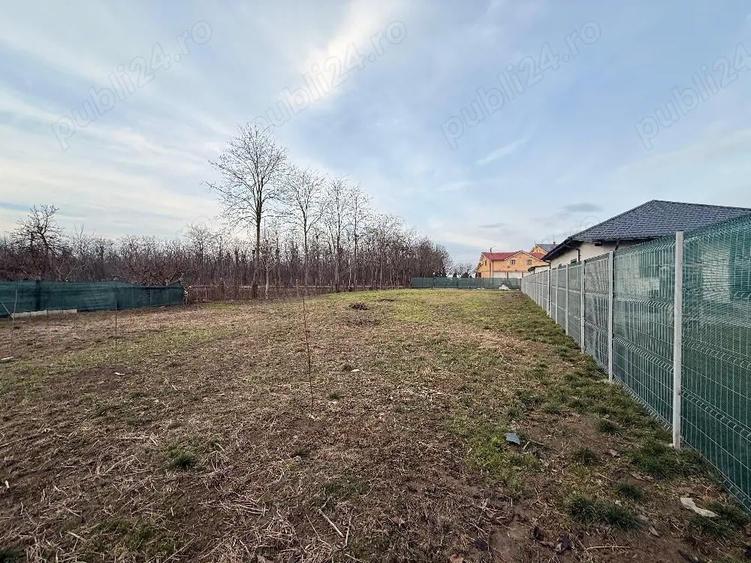 Ofer spre chirie Teren in Horia ,910 MP 18,50 ML deschidere ,300 euro luna - 4