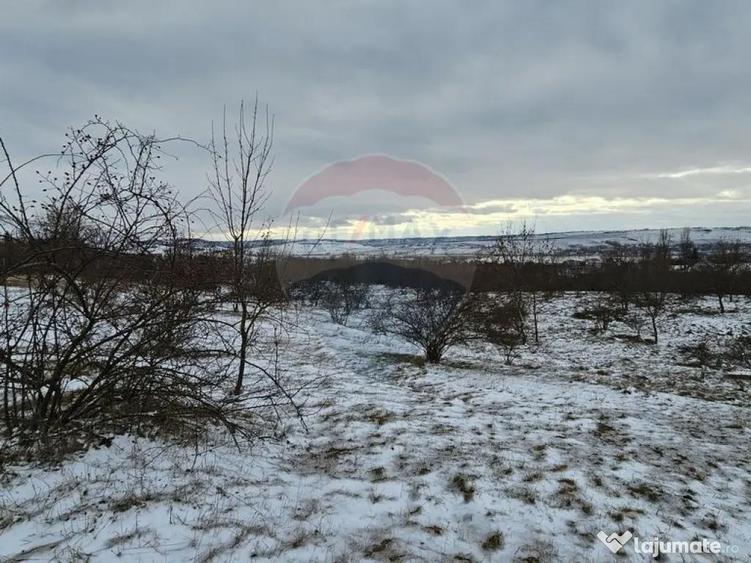 Teren 10,000mp Rada?eni / ?oseaua DN2-E85, jude?ul S... - 6