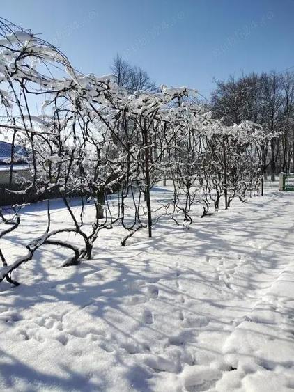 Casa de vanzare in Caline?ti, jud Boto?ani - 5800 mp teren - 7