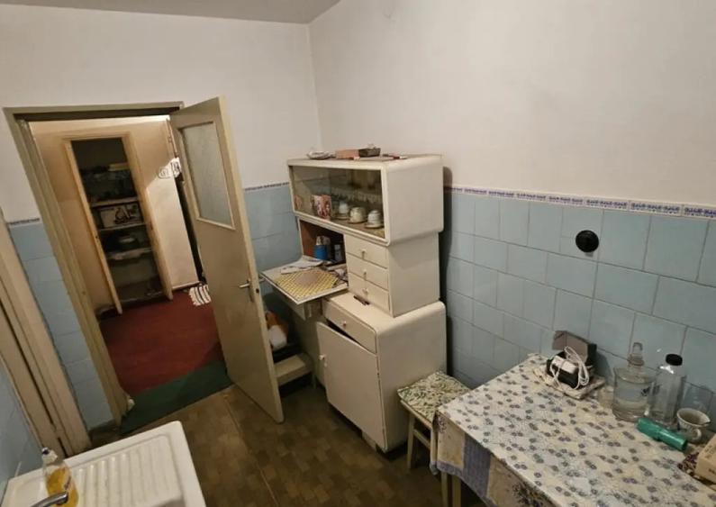 NORD-Cameliei cub, 2cam, cf1, dec, 3/4, f.imb - 48000 euro - 3