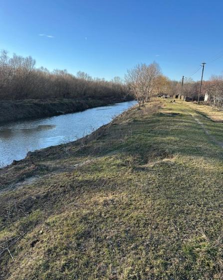 Teren- intravilan in DELTA- loc BALTENII DE JOS - 17