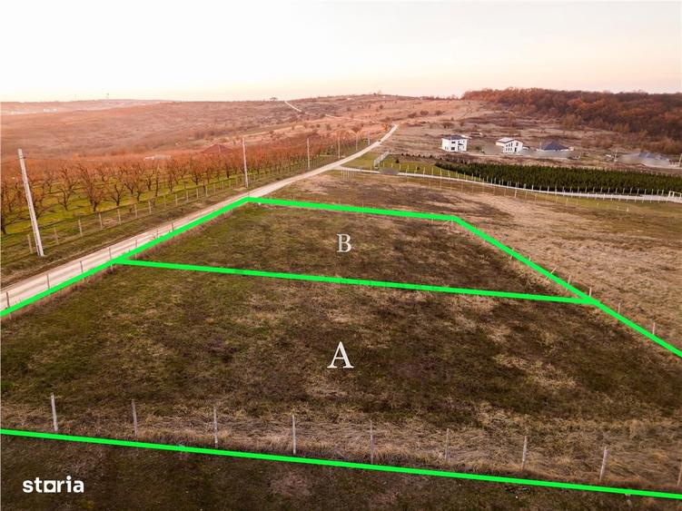 RECO Teren intravilan in Saldabagiu de Munte - 8