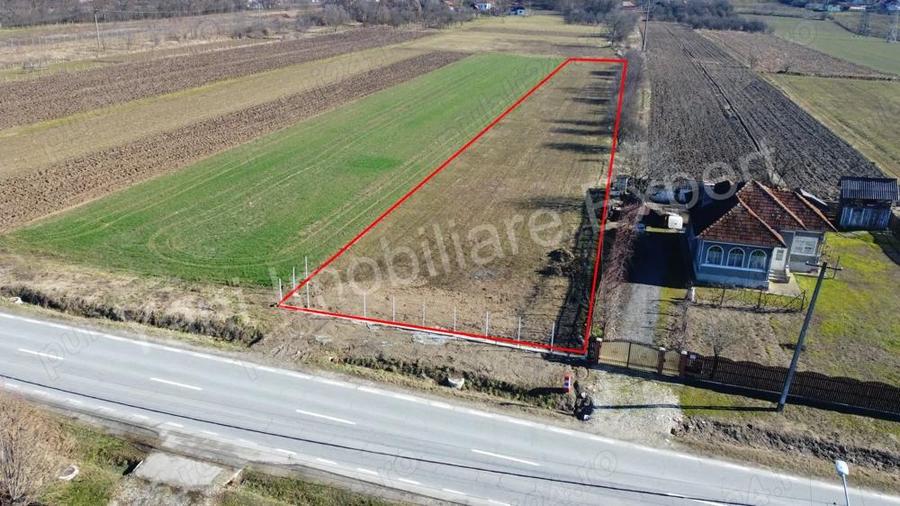 Teren de vanzare in comuna Baicule?ti, jude? Arge?. - 8