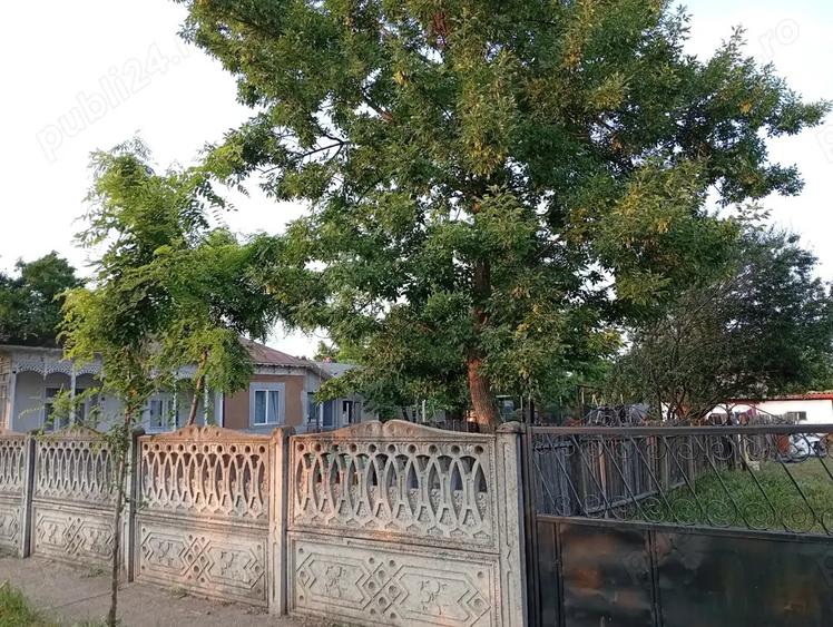 Vand casa in Movila Miresii - 9