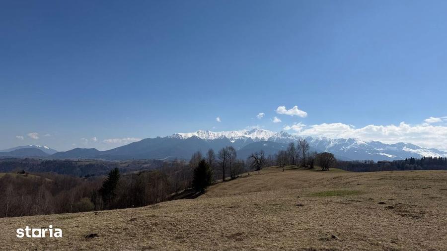 Teren 4584 mp de vanzare Pe?tera, Moeciu, Bra?ov - 6
